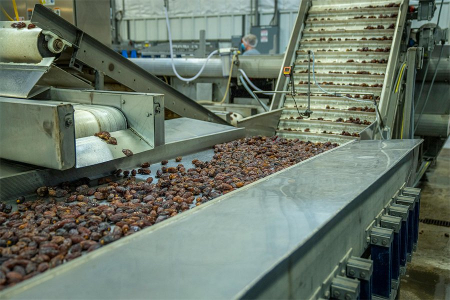 transportadores-para-industria-alimentaria