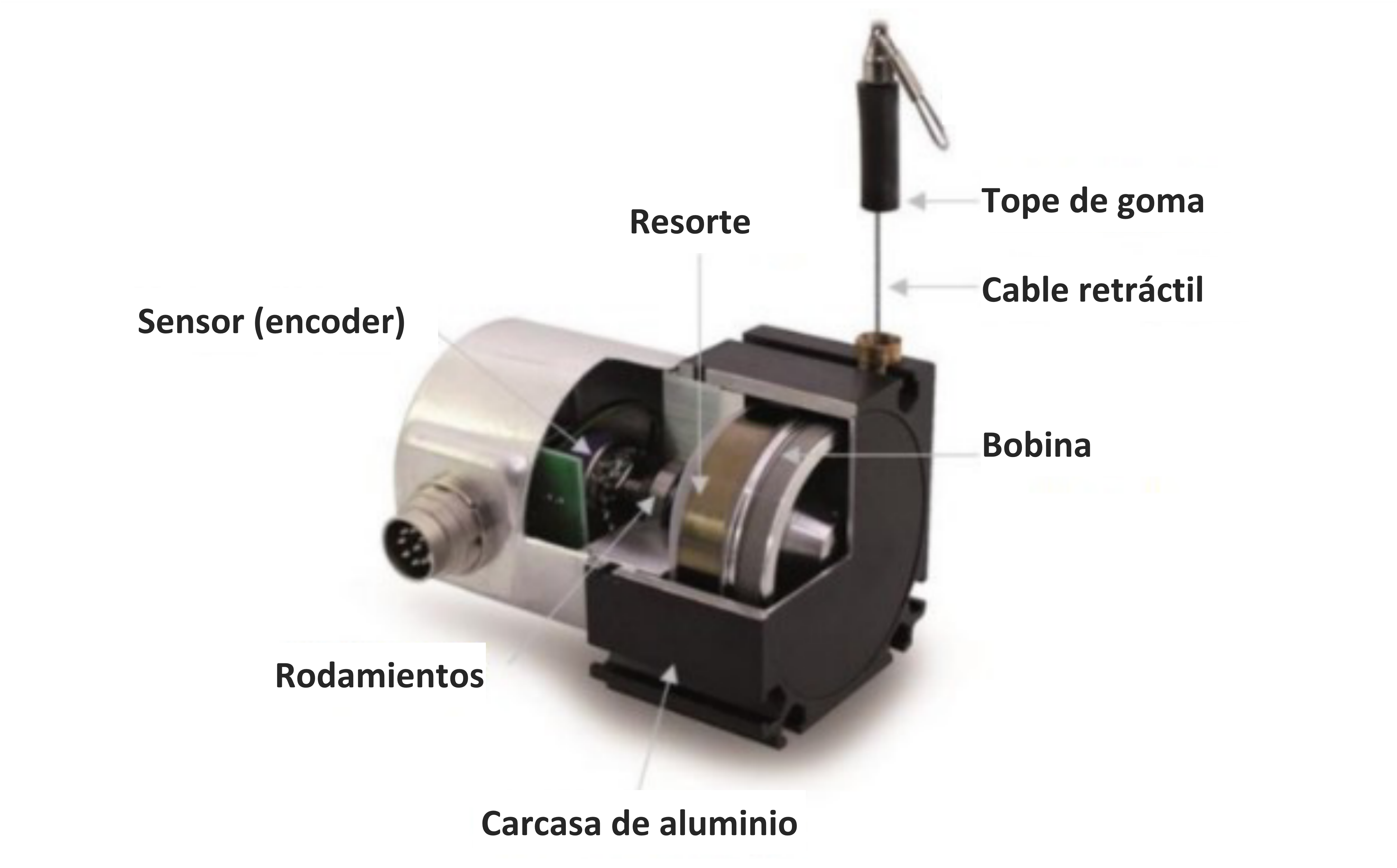 Partes de un sensor de desplazamiento.