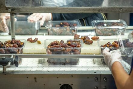 Transportadores en la industria alimentaria: innovación y eficiencia en cada etapa del proceso