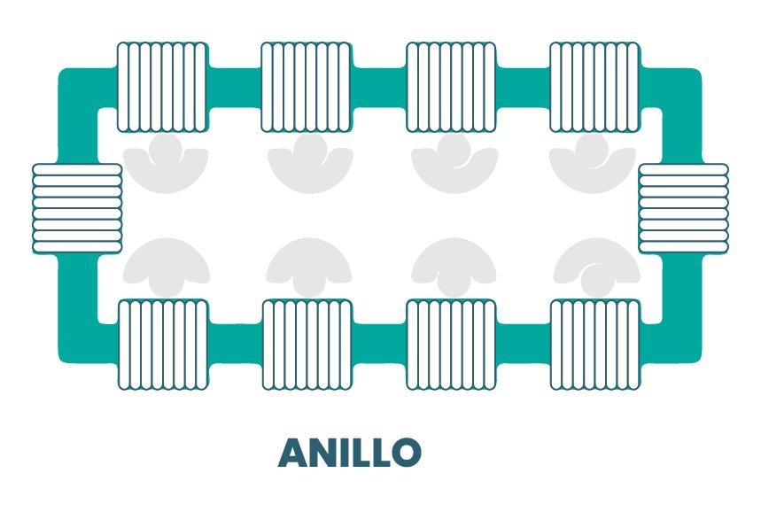 Layout en anillo
