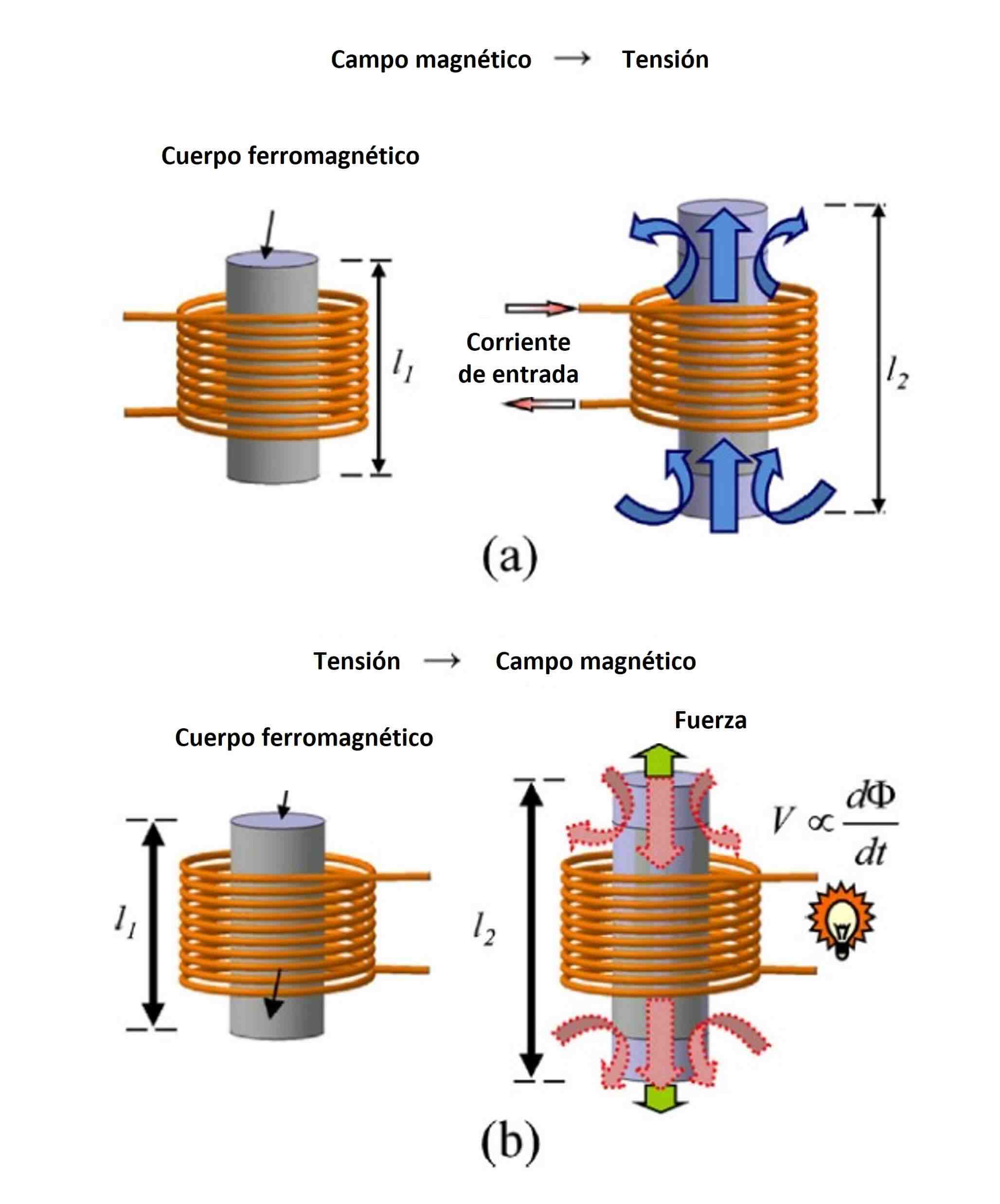 Magnetostricción