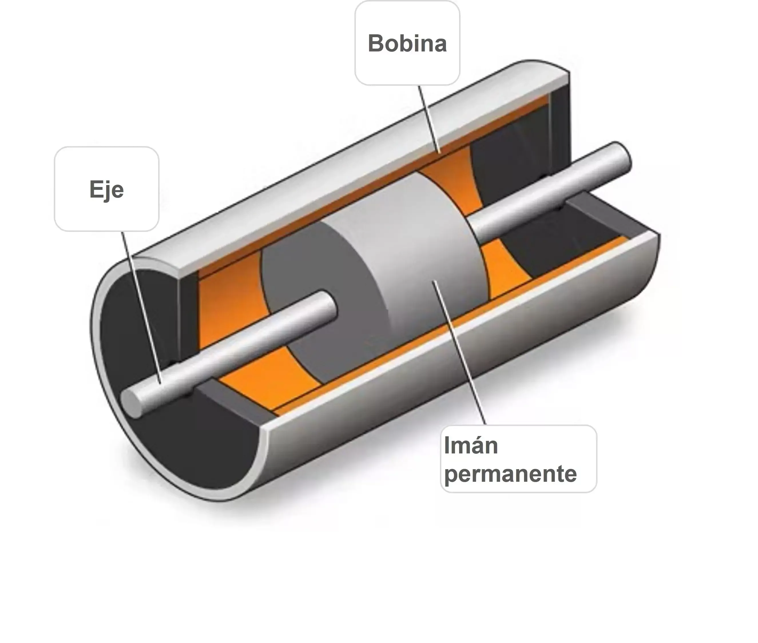 Partes de la bobina móvil.