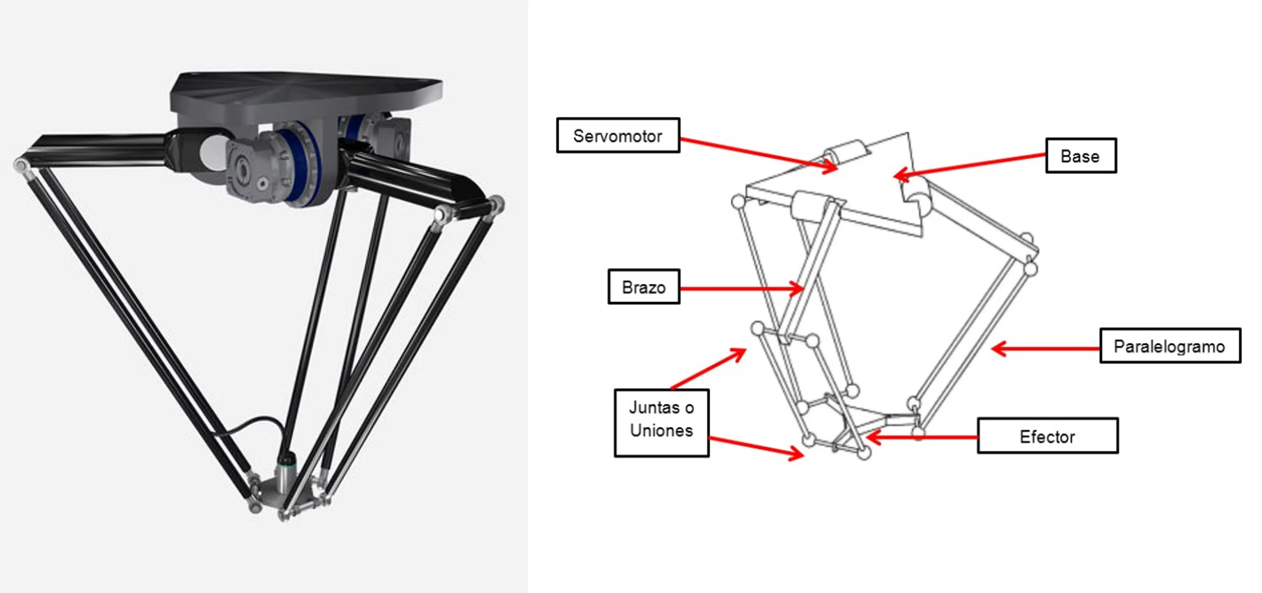 Partes de un robot Delta.