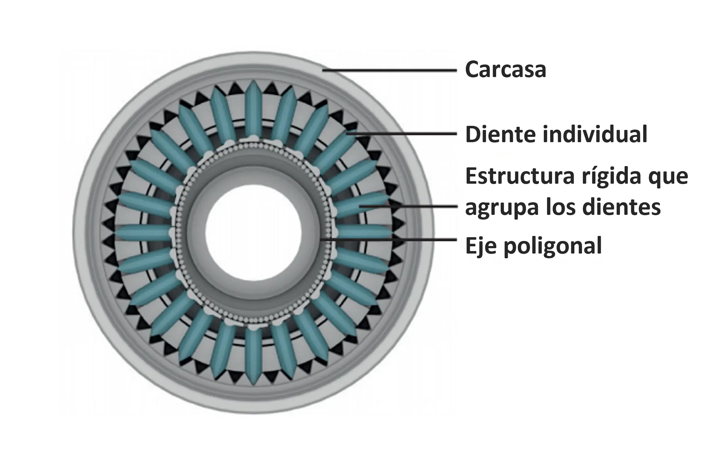 Estructura interna del reductor Galaxie